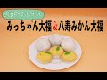 【日本のいいもの発掘】女子アナ47ショップ限定！愛媛県・うにまんじゅうの田村菓子舗　みっちゃん大福＆八寿みかん大福セット　大澤さつき