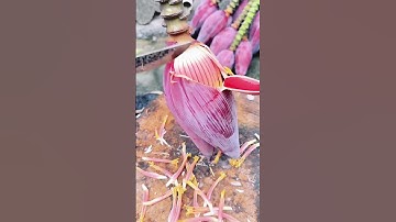 freshly picked#villagelife#farming#agriculture#planting #rurallife#enjoyrurallife#cuttingskills