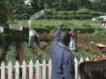 Mpesa Send Money Home TV Commercial 