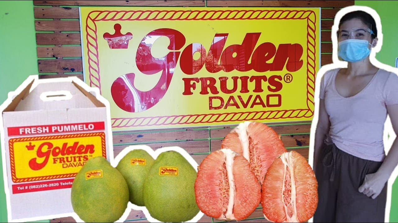 Golden Pomelo Where to buy Suha in Davao City Buongon Lukban