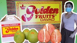 Golden Pomelo | Where to buy Suha in Davao City |  Buongon | Lukban