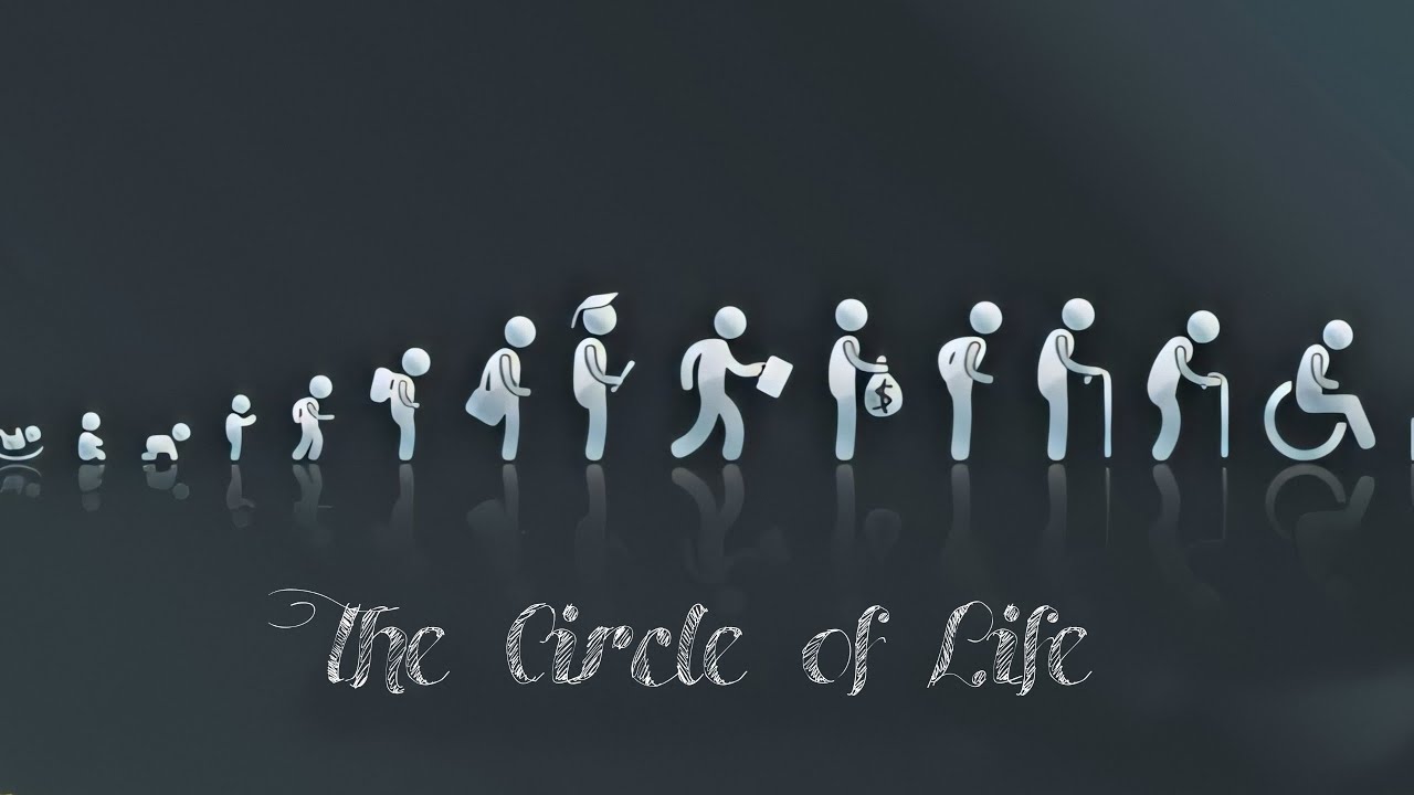 Them of life meaning of. Circle of Life обои. Обложки для ВК Эстетика школа. Однотипные действия картинки. Meaning of Life.