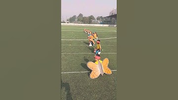 Caterpillar and Butterflies race cute kids at sports day on Palava tv