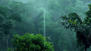 Rain Sounds For Sleeping, Rain Sounds To Study, Relax, Purify And Heal Insomnia