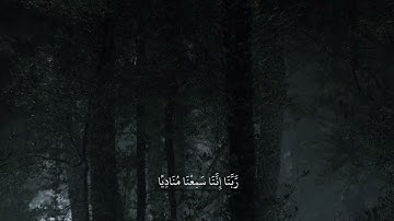 سورة آل عمران ..أية 192..القارئ ياسر الدوسري 🫀 أذكرو الله
