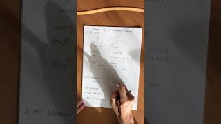 Почему люди не занимаются бизнесом