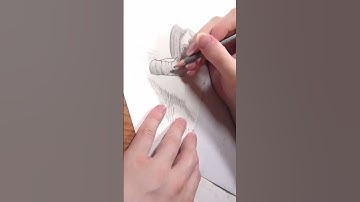 I learn how to draw in 100 hours - Female Character