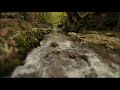 أغنية Relaxing Rain & Soothing River Sounds Near a Beautiful Waterfall in the Rocky Mountains - 10 Hours