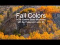 Fall colors in the eastern sierra mountains  shot with the panasonic lumix s5