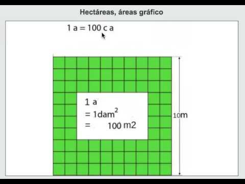 Vídeo: Quina és la longitud de 20 hectàrees?