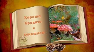 Осень в лесу автор работы ЛЮБОВЬ БОНДАРЕНКО