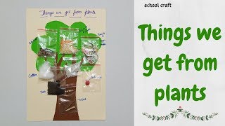 Things we get from plants | Project of plant products | School Craft |