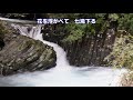河津川(二代目コロンビア・ローズ)~ZENZI