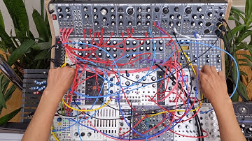 ACL Sinfonion Demo 1