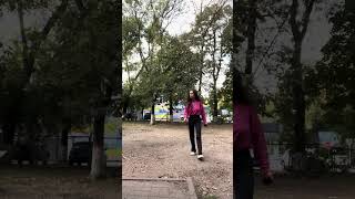 Playful Dog’s Unintentional Slam into Owner