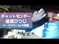 良音質 ※リクエストあり 【チャットモンチー】 迷迷ひつじ ベース