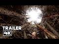 PITFALL Official Trailer (2026)