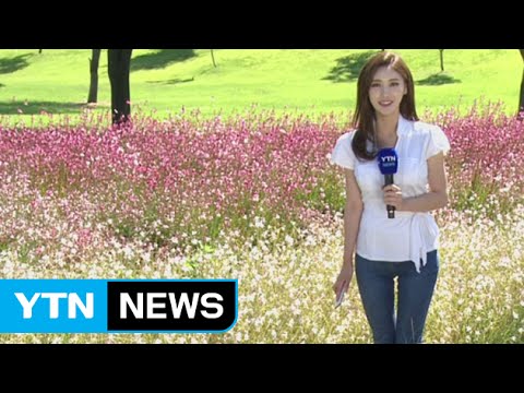 [날씨] 청명한 하늘 계속…일교차 15도 이상 / YTN