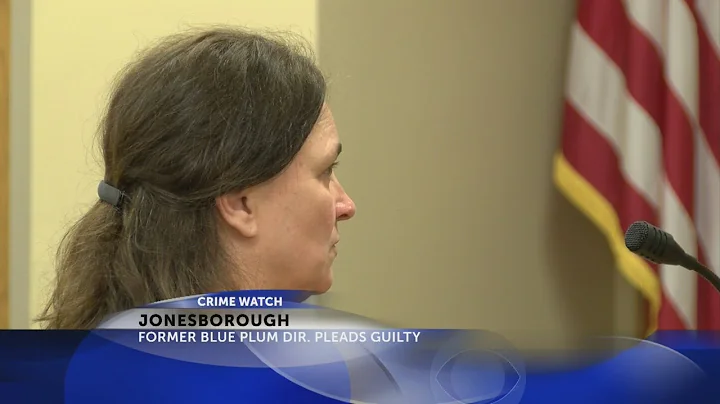 Former Blue Plum director Deanna Hays pleads guilt...