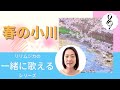 【一緒に歌えるシリーズ】大人のための童謡・唱歌「春の小川」(大きな歌詞付)