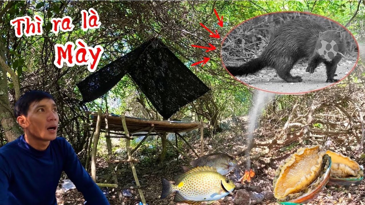 Thử sống một mình trên đảo hoang trong 36h bằng cách tự lập | 36 hour camping survival