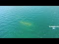 航拍云南抚仙湖，水下有个千年古城 Aerial view:  A underwater ancient city in china