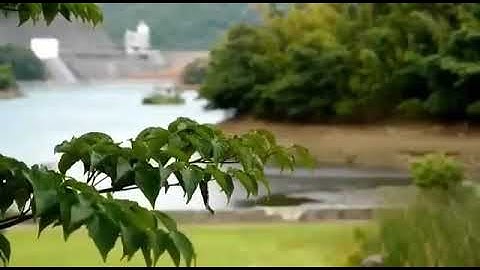 تلاوة رائعة من سورة فاطر .......