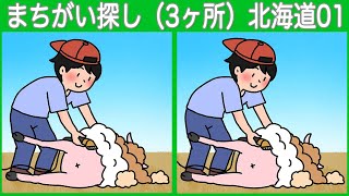 【間違い探し】北海道のまちがい探しで楽しく脳活！脳トレで集中力をアップしよう【クイズ】