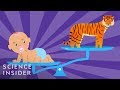 Giant Newborns of the Animal Kingdom