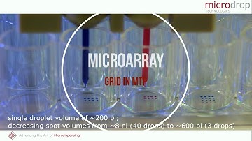 Grid in microtiter plate - microarray printing