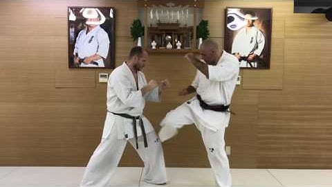 Combination #1. "Yakusoku Kumite"