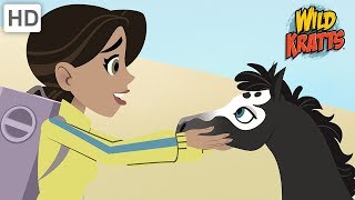 Wild Kratts  Protecting Wild Animals During the Holidays