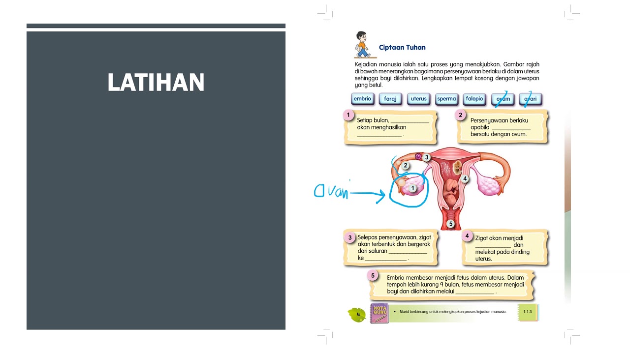 Pendidikan Kesihatan Tahun 5 Youtube