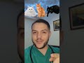 هل انت من عشاق #القطط ؟ شاهد هذا الفيديو مهم جدا #cats #حيوانات_أليفة #طبيب_بيطري