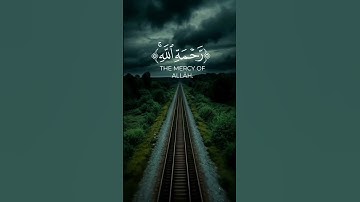تلاوة من سورة الزمر  #quran #قرآن