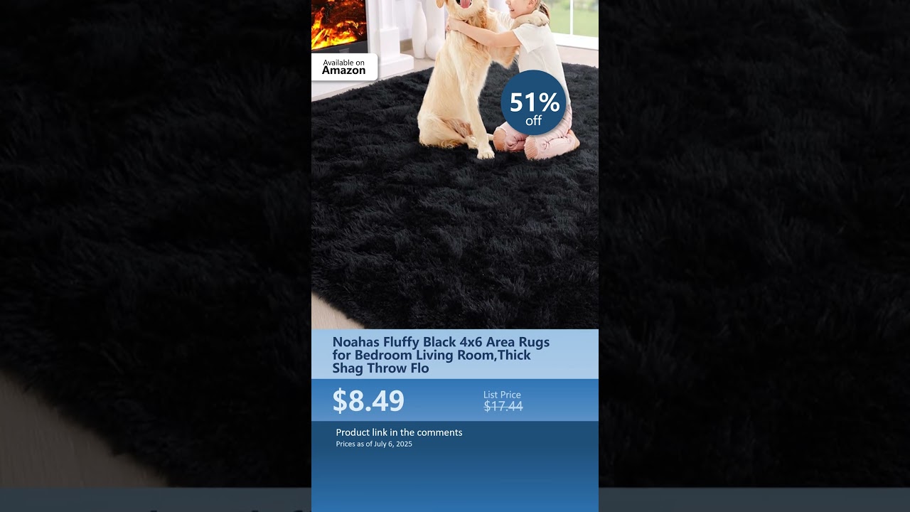 Noahas Fluffy Black 4x6 Area Rugs for Bedroom Living Room,Thick Shag Throw Flo