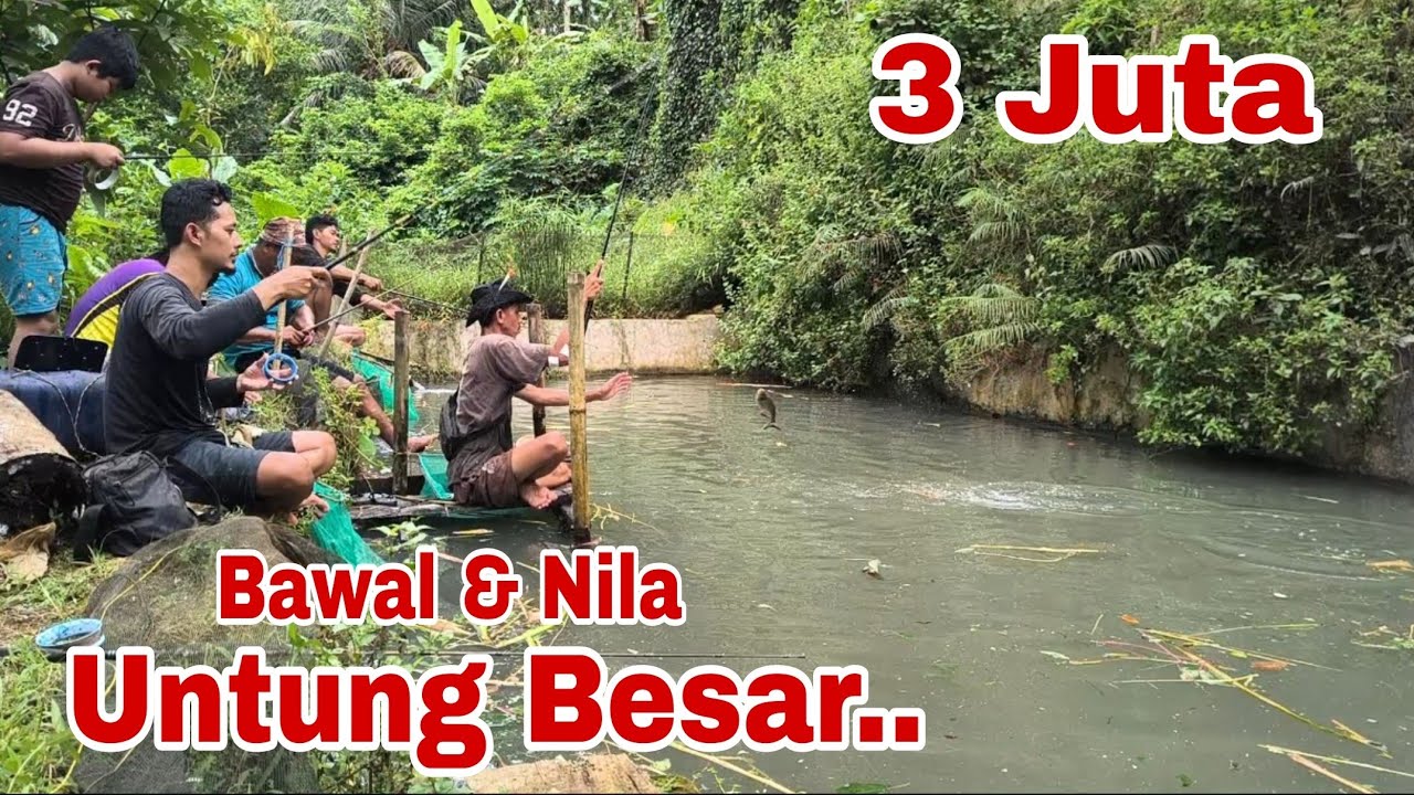 LUARRR BIASA❗JANGAN SAMPAI YANG PUNYA KOLAM TAU❗HARI INI KITA PESTA 