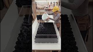 I made a giant resin block out of a dozen black roses