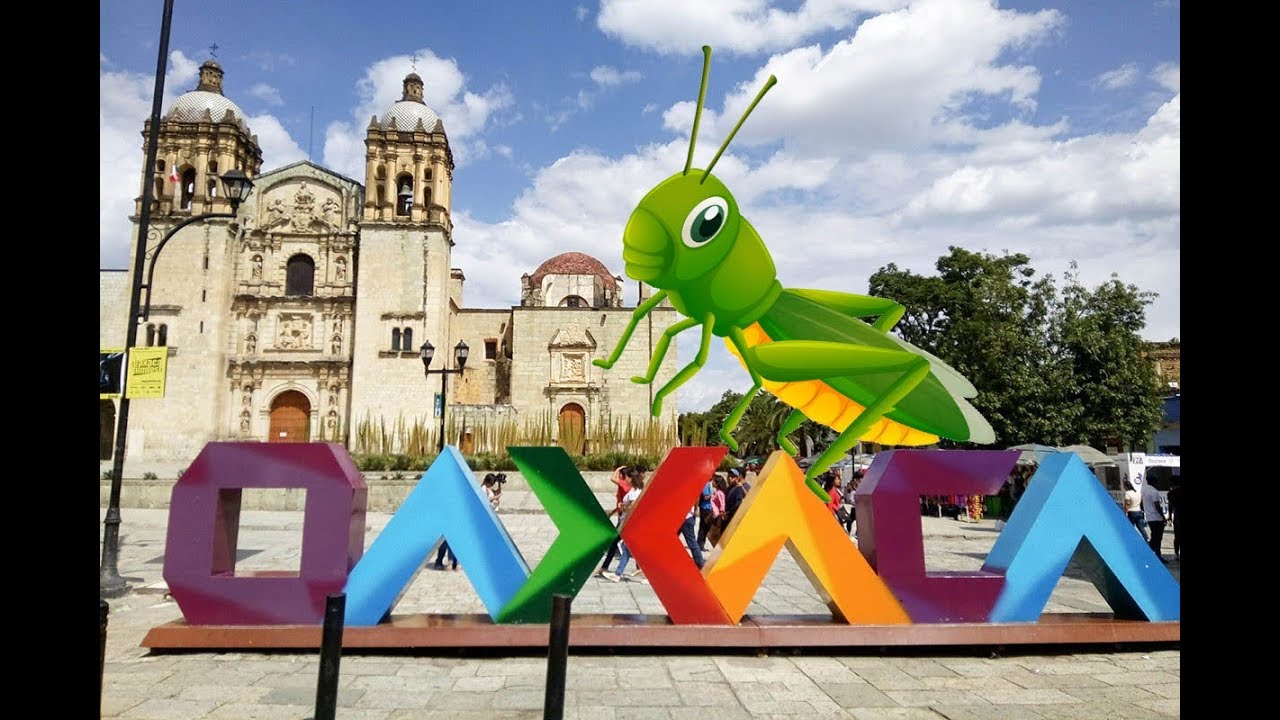 Why you should visit Oaxaca and Casa Azul and I ate a grasshopper!