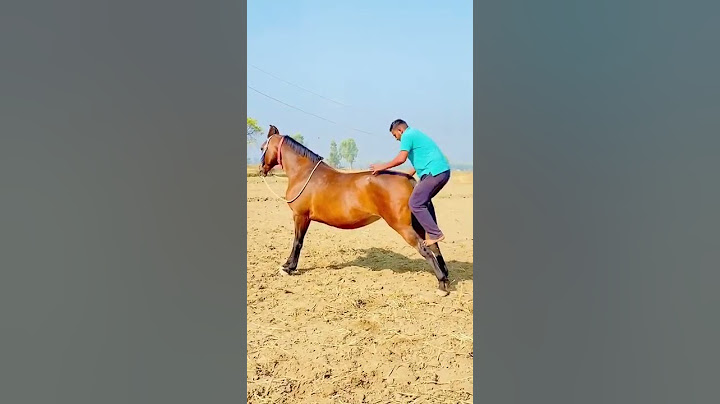 Juvenal trepando no cavalo.