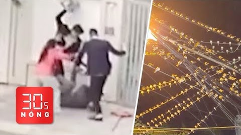 Bản tin 30s Nóng: Một người bị hành hung dã man ở Hà Nội; Kỳ lạ chim én ‘hội’ ở Cần Thơ