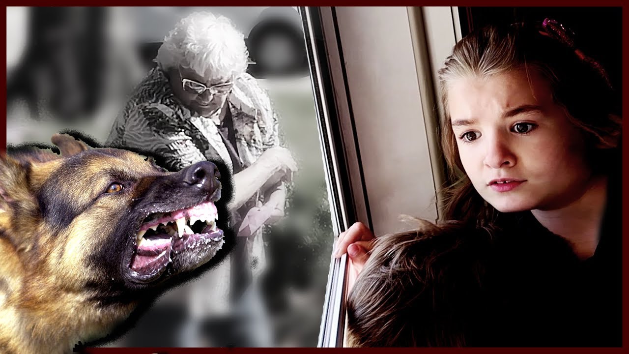 dramamine precio Grandma Face to Face with ATTACK DOG!! | Animal Control Called!