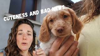 Cuteness and some little bad news about Lila..