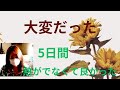 キミへのアコガレ