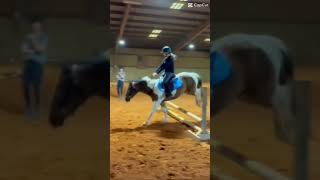 (Audrey) Watson was so good today! #horse #equestrian #hunterjumper #bounce #fyp #makethisgoviral