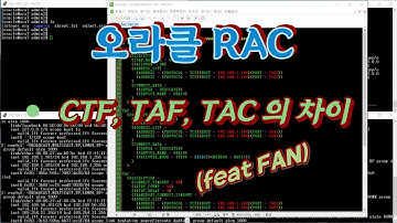 CTF, TAF, TAC 비교 차이점 설명