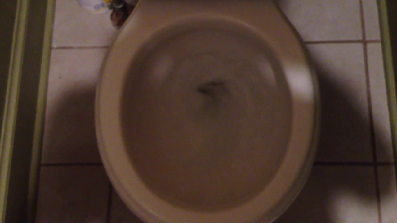 022 2003 Karat Toilet flushing 1 piece of TP 1 YouTube