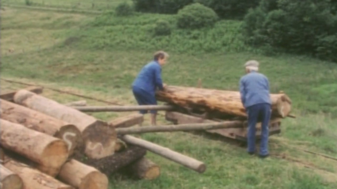 The Last Water Powered Sawmill Cutting Timber with 19th Century Tech