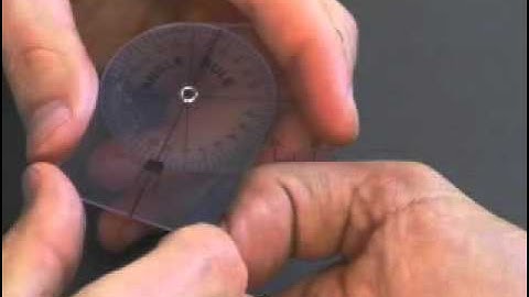 20 Thumb Interphalangeal Flexion Extension