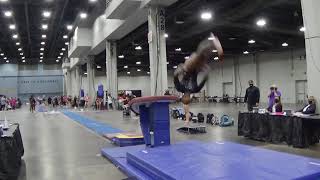 Level 10 Vault Group B4 JRC JRD SRA 2021 Region 5 Championships